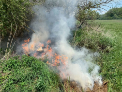 Katasztrófavédelem