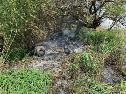 Katasztrófavédelem