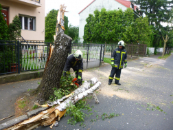 Katasztrófavédelem