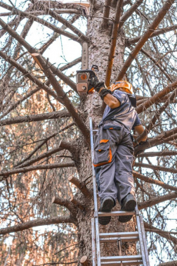 Katasztrófavédelem