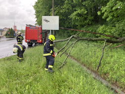 Kidőlt fát távolítanak el a tűzoltók