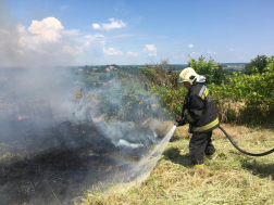 Tűzoltó oltja a szabadtéri tüzet