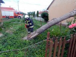 Fa dőlt lakóházra Rédicsen