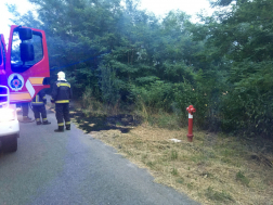 Tűzoltók eloltották az avartüzet