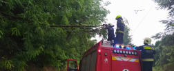 Tűzoltók távolítják el a fadarabokat