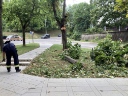 Viharkárok felszámolása Zalaegerszegen és térségében