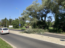 Viharkárok felszámolása Zalaegerszegen és térségében