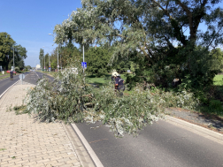 Viharkárok felszámolása Zalaegerszegen és térségében