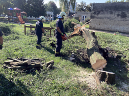 Viharkárok felszámolása Zalaegerszegen és térségében