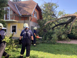 Viharkárok felszámolása Zalaegerszegen és térségében