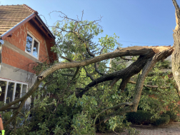 Viharkárok felszámolása Zalaegerszegen és térségében