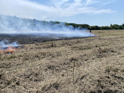 Két hektáron égett a száraz fű Nagykanizsánál