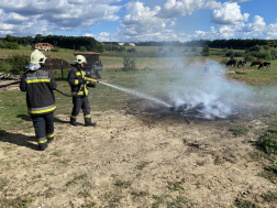 Tűzoltók oltják az égő hulladékkupacot, háttérben legelésznek a tehenek